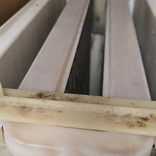 Premier-Water-Filtration-Ice-Machine-Maintenance-in-Pensacola-FL-1 0